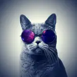 Cats Wallpapers 4K HQ Notch App Negative Reviews