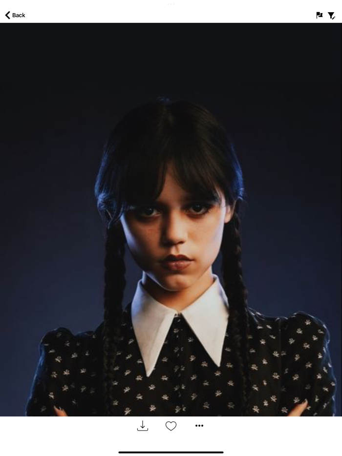 FanArt Addams Wednesday S2