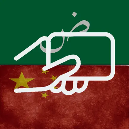 Arabic Chinese Flashcards Cheats