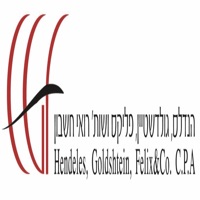 הנדלס גולדשטיין פליקס ושות logo