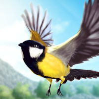 Bird Fly High Vogel Simulator