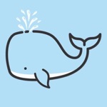 Beluga whale VPN
