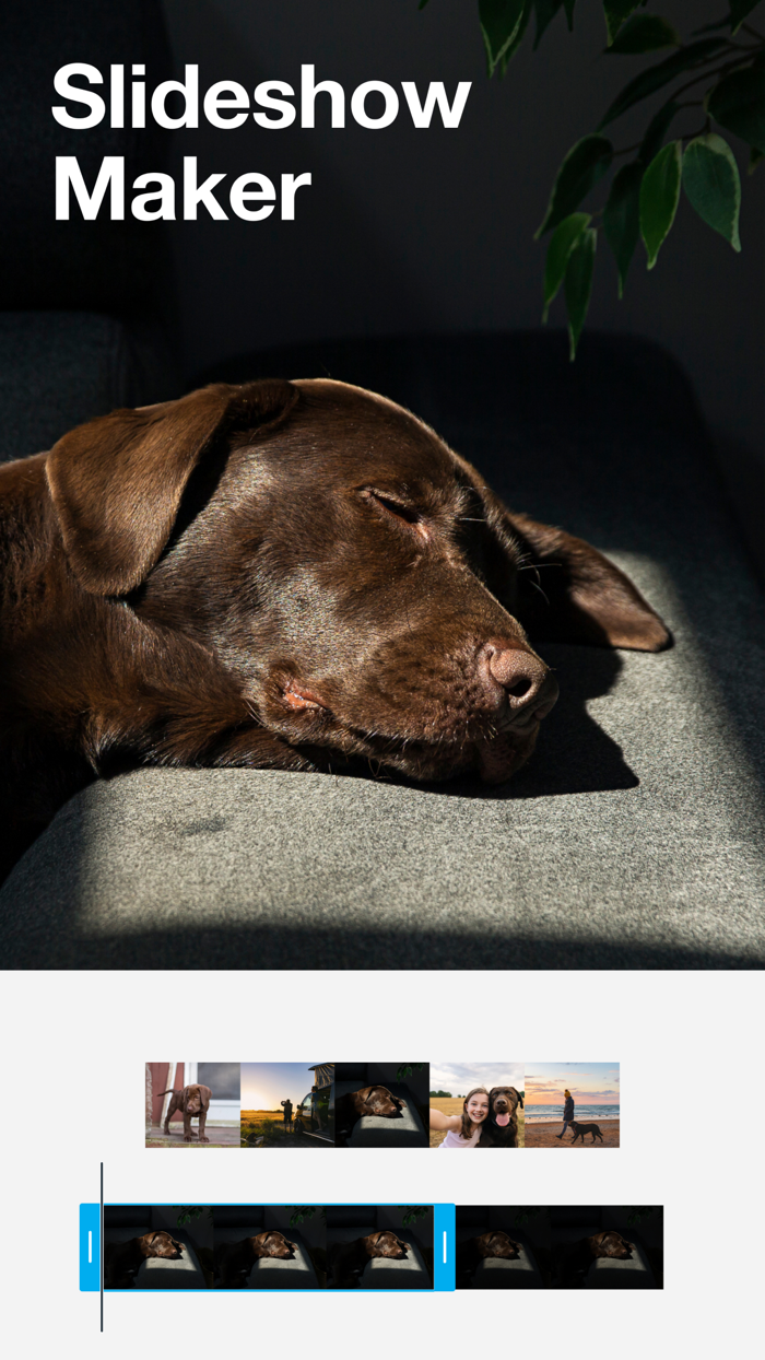 Vimeo Create - Video Editor