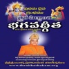 Bhagavad Gita Telugu icon