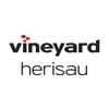 Vineyard Herisau