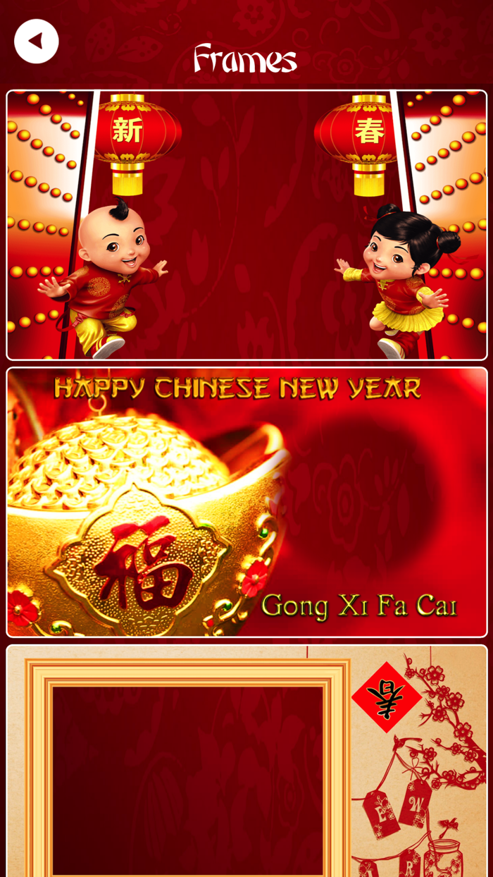 Chinese New Year - 中国新年