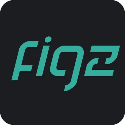 FigZ Читы