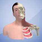 3D Cervical Dystonia App Contact