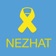 Nezhat Endometriosis Advisor app icon - Medical app for iPhone