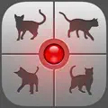 Human-to-Cat Translator