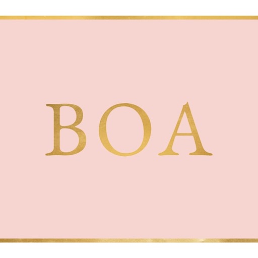 BOA Cape Town icon