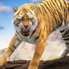 Lion Games 3D Jungle Simulator icon