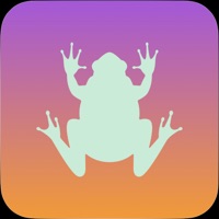 Dont Break The Screen