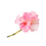 Watercolor Flower Sticker App Contact