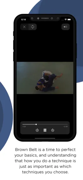 Game screenshot BJJ Brown Belt Requirements hack