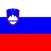 Slovenian-English Dictionary icon