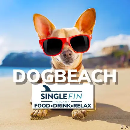 Single Fin Tuscany Dog Beach Cheats