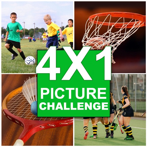 4x1 Picture Challenge
