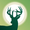 Deer Calls for Whitetail App icon