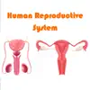 Human Reproductive System App Feedback