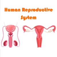 Human Reproductive System logo
