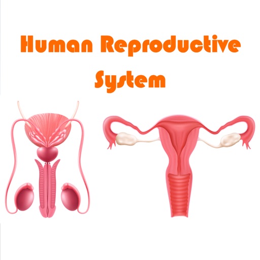 Human Reproductive System icon