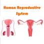 Human Reproductive System app download