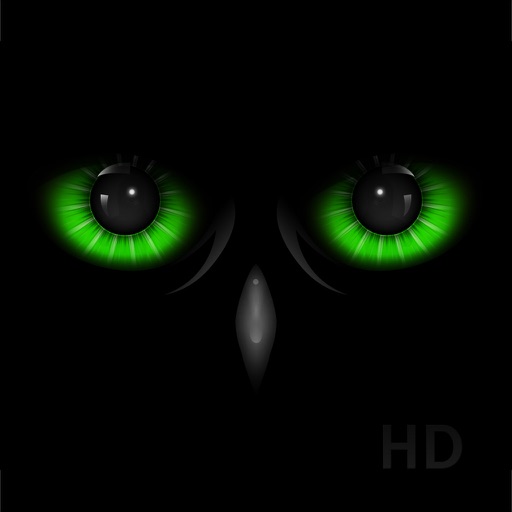 Night Eyes - Low Light Camera icon