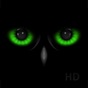 Night Eyes - Low Light Camera app download