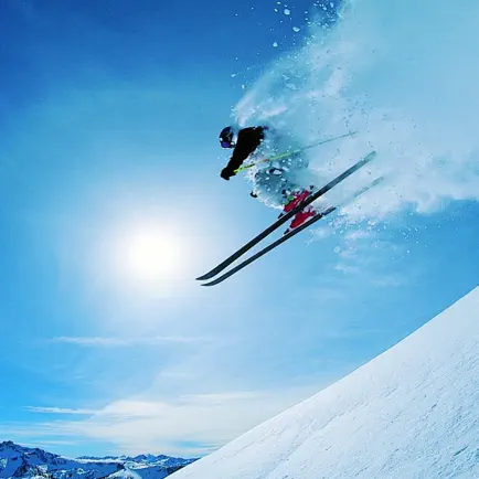 Ski Speed Читы