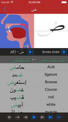 Game screenshot Arabic Sounds and Letter Spell apk