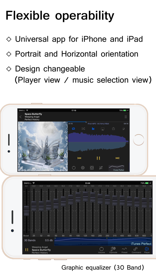 #4. KaiserTone Audio Player +HiRes (iOS) Podle: CyberFort LLC