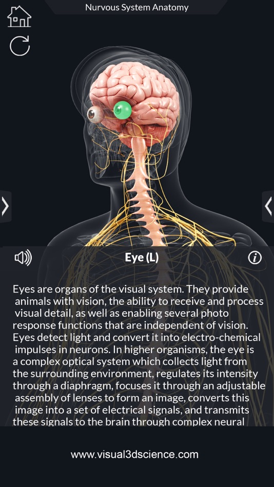#5. My Nervous System Anatomy (iOS) 由: Santosh Chavan