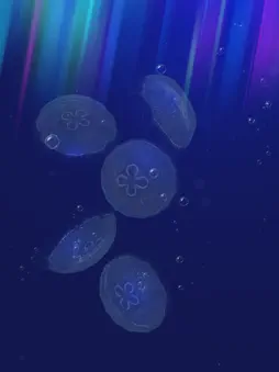 JellyfishGO -  Appreciation screenshot 9