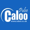 Caloo Pulse icon