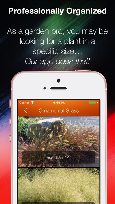 Plant Catalogue Screenshot