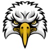 Sealand Seahawks icon