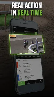 dk horse racing & betting iphone screenshot 4