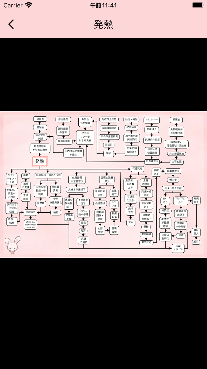 らくらく関連図