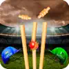 Play Live Cricket Game