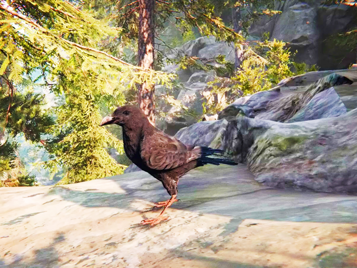 Raven Crow Flight Simulator 3d