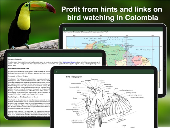 All Birds Colombia field guide iPad app afbeelding 8