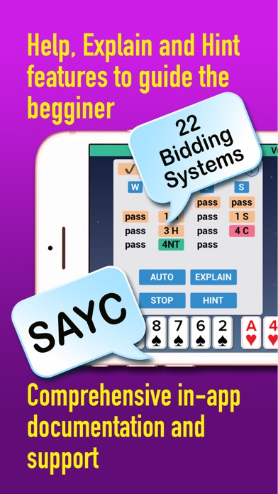 Screenshot #3 pour iBridgePlus