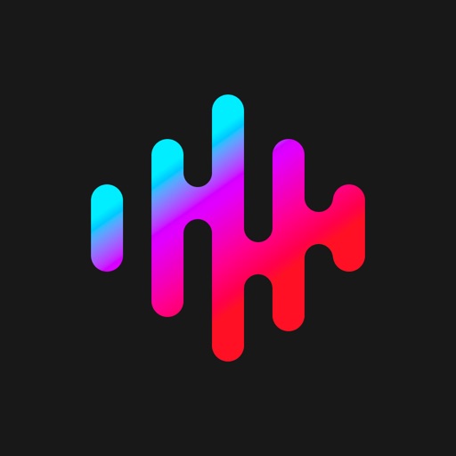 Tempo - Music Video Maker iOS App