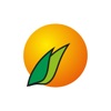 Biokyma icon