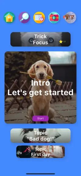 Game screenshot Pocket Puppy School mod apk
