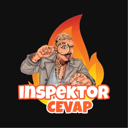 Inspektor Cevap icon