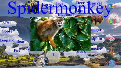 Animal Touch Sounds 2 Screenshot
