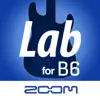 Handy Guitar Lab for B6 App Feedback