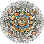 Mandala Coloring Pages Book: App Support